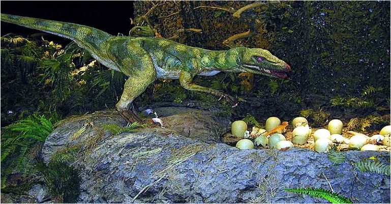 Dinosaurios Carnivoros - Parque de las Ciencias de Andalucía - Granada