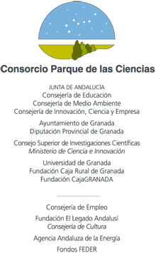 logoConsorcio