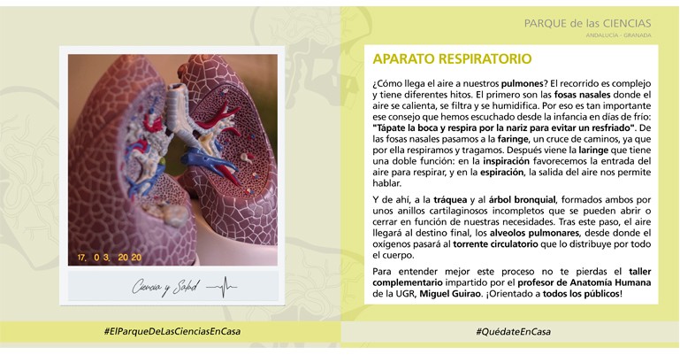 Día 2 - El aparato respiratorio - Parque de las Ciencias de - Granada
